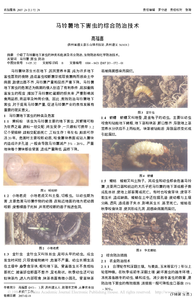 马铃薯地下害虫研究现状