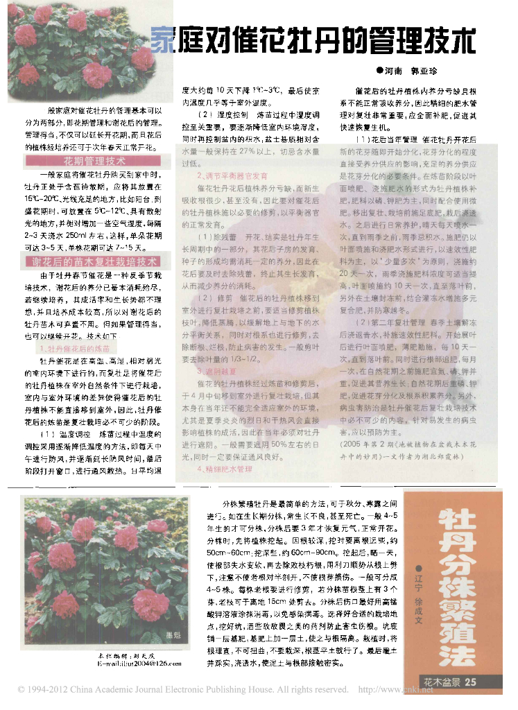 牡丹分株繁殖法