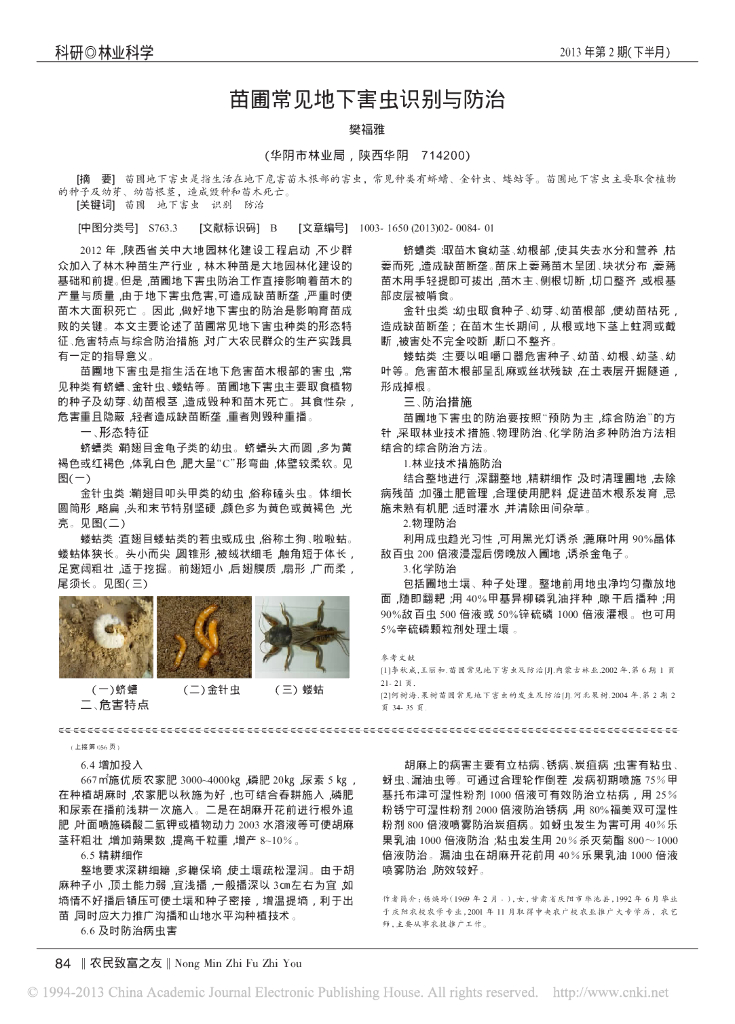 苗圃常见地下害虫识别与防治