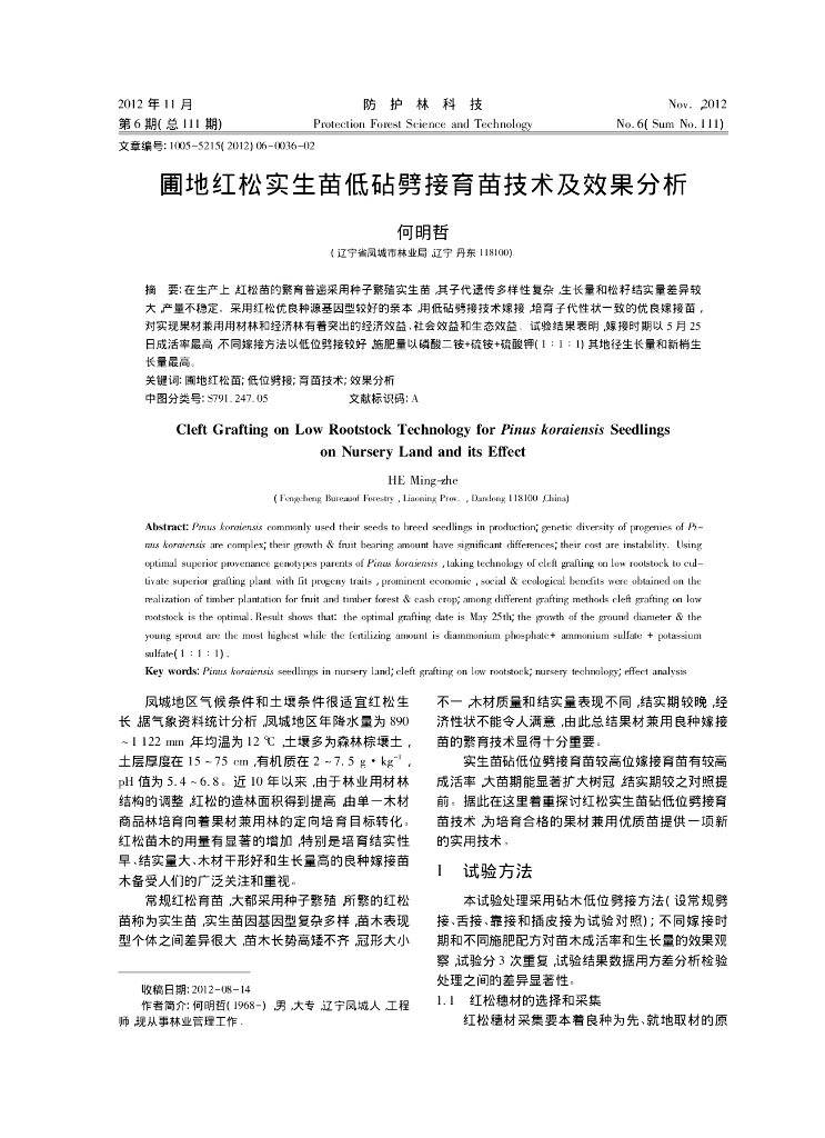 圃地红松实生苗低砧劈接育苗技术及效果分析