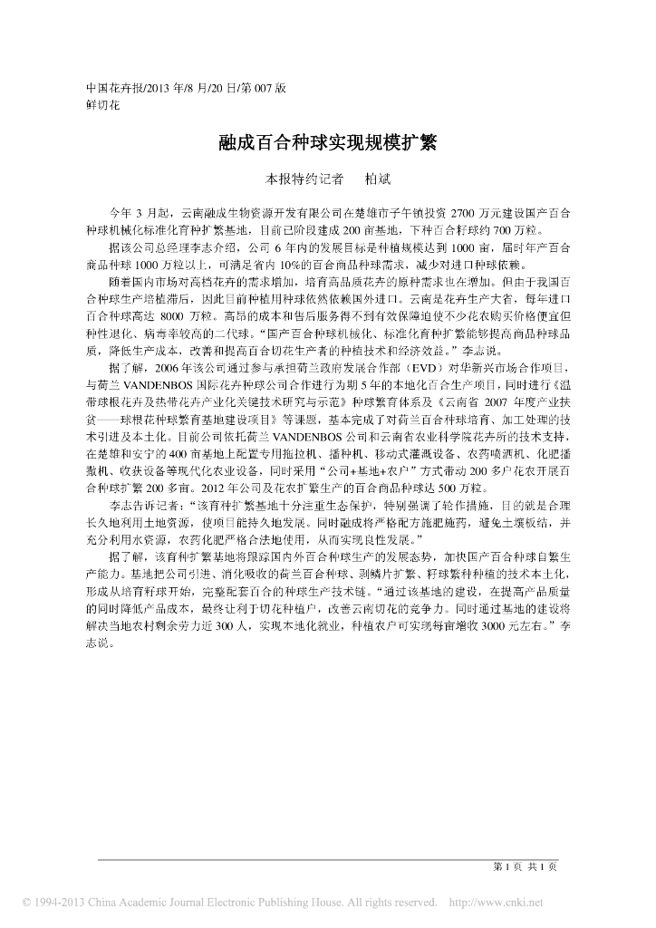 融成百合种球实现规模扩繁