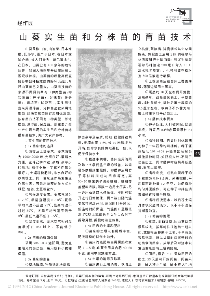山葵实生苗和分株苗的育苗技术