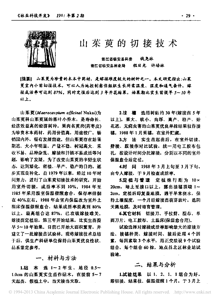 山茱萸的切接技术
