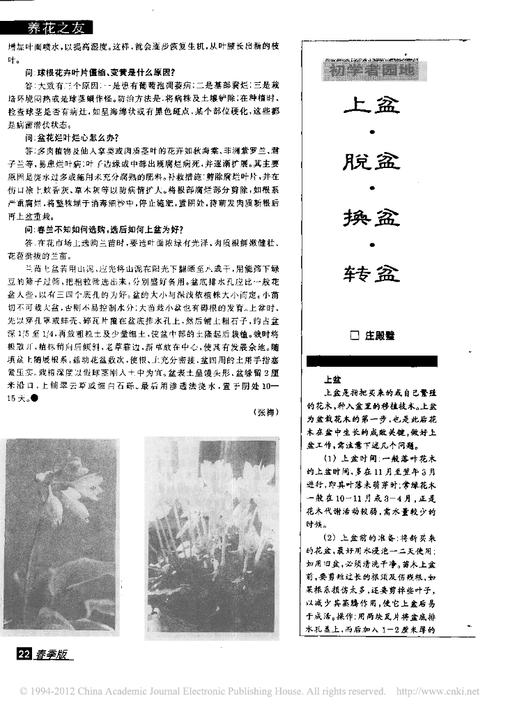 上盆_脱盆_换盆_转盆