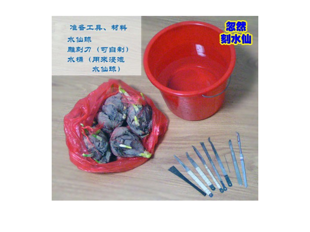 水仙雕刻