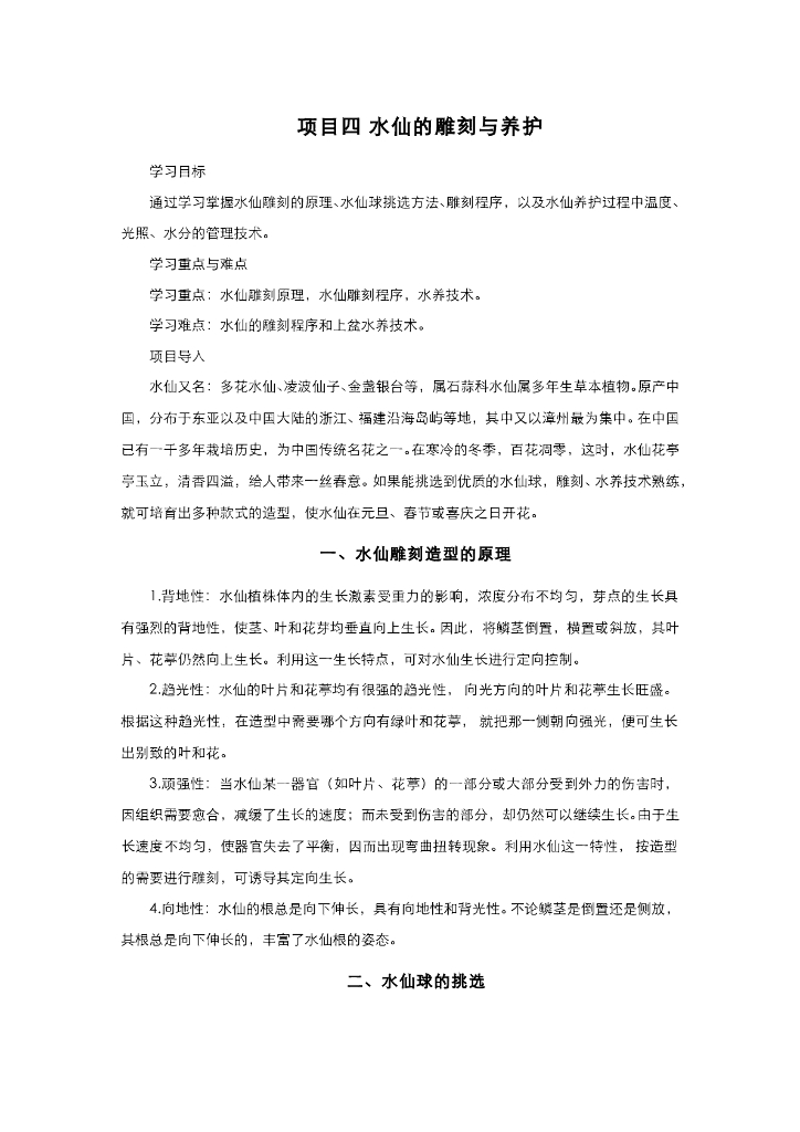 水仙的雕刻与养护