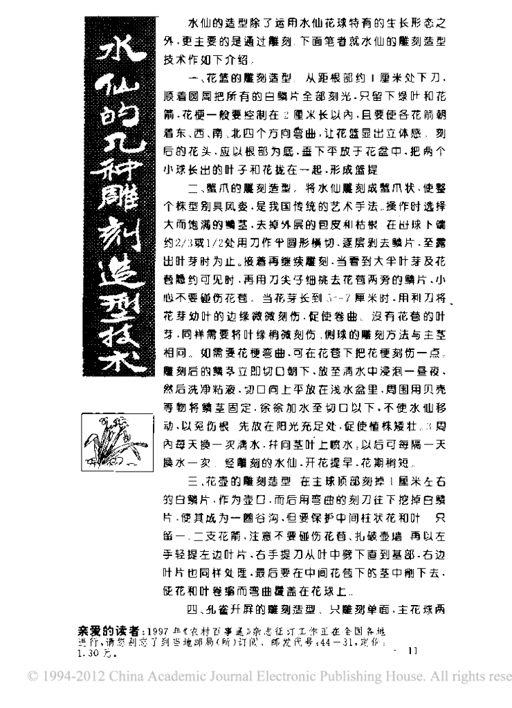 水仙的几种雕刻造型技术