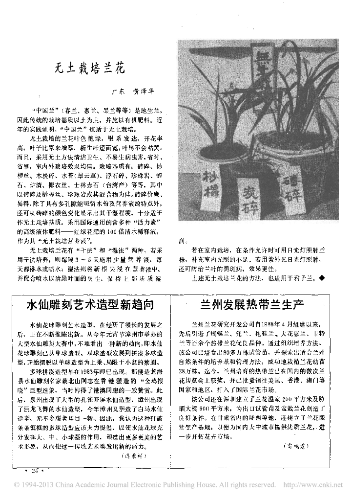 水仙雕刻艺术造型新趋向