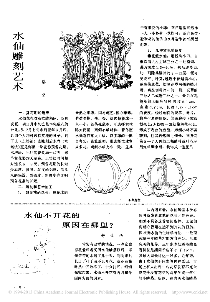 水仙雕刻艺术
