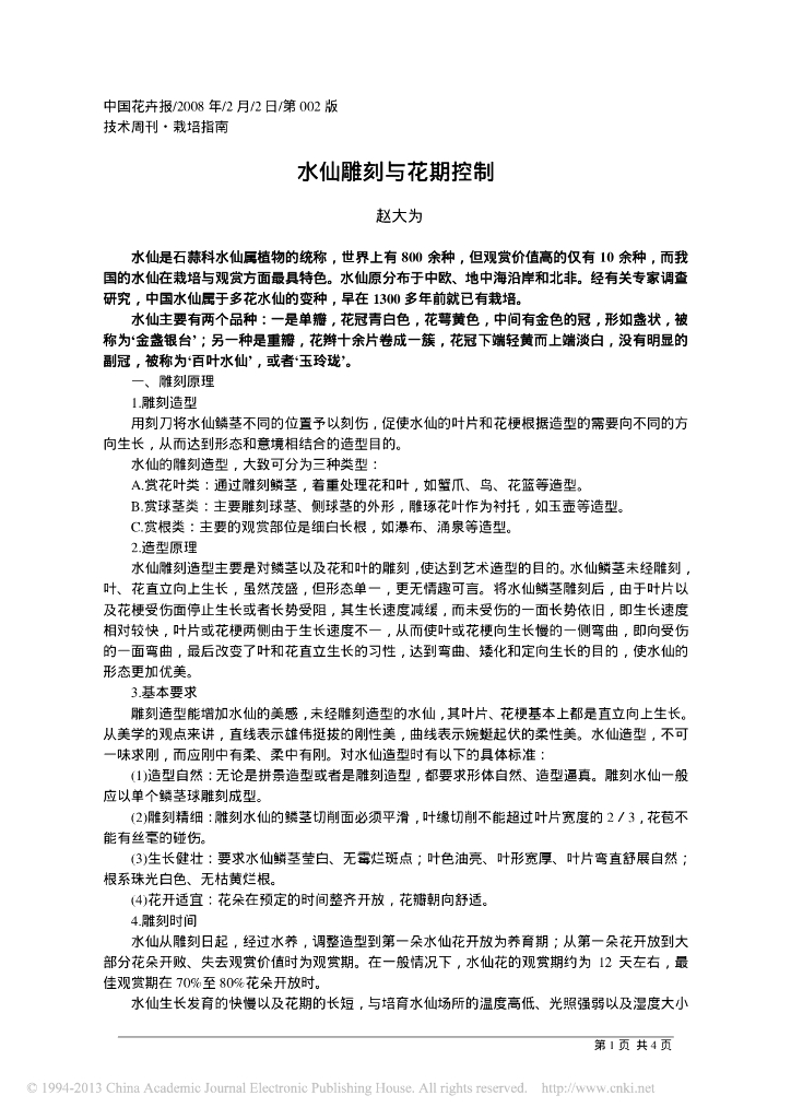水仙雕刻与花期控制