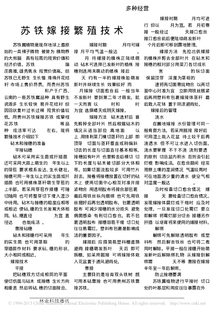 苏铁嫁接繁殖技术