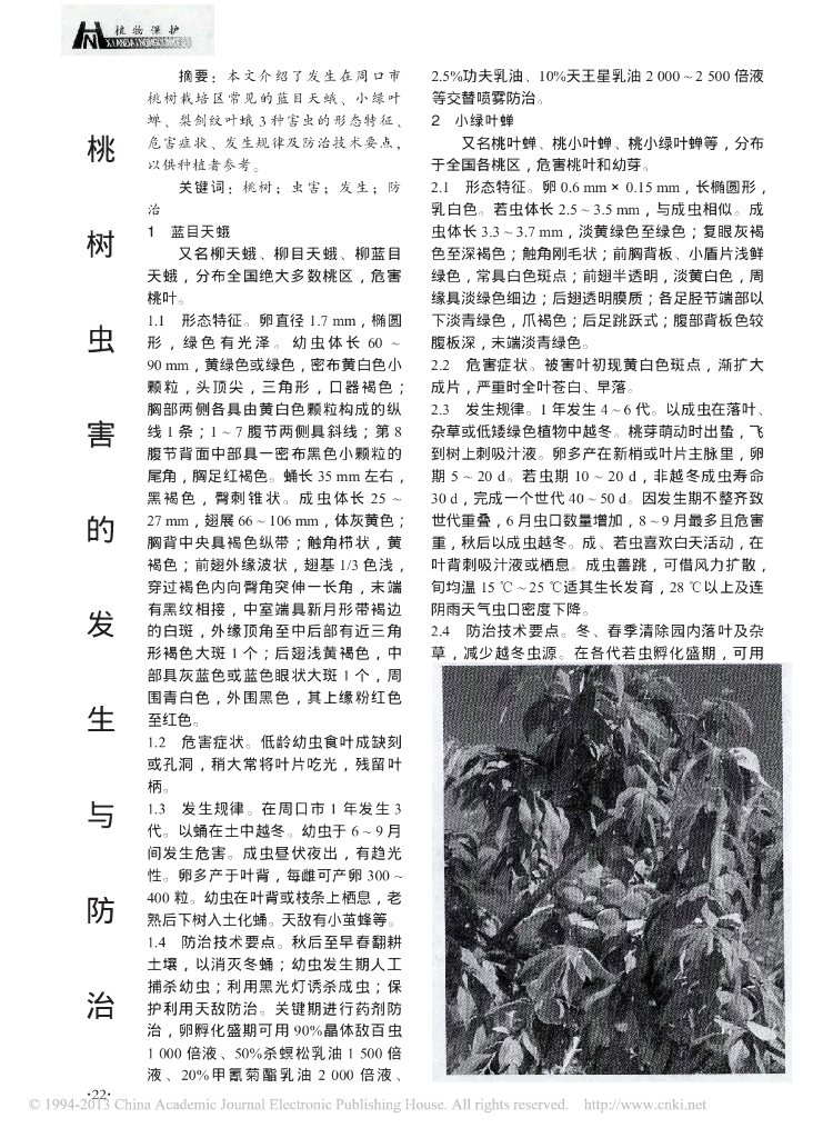 桃树虫害的发生与防治