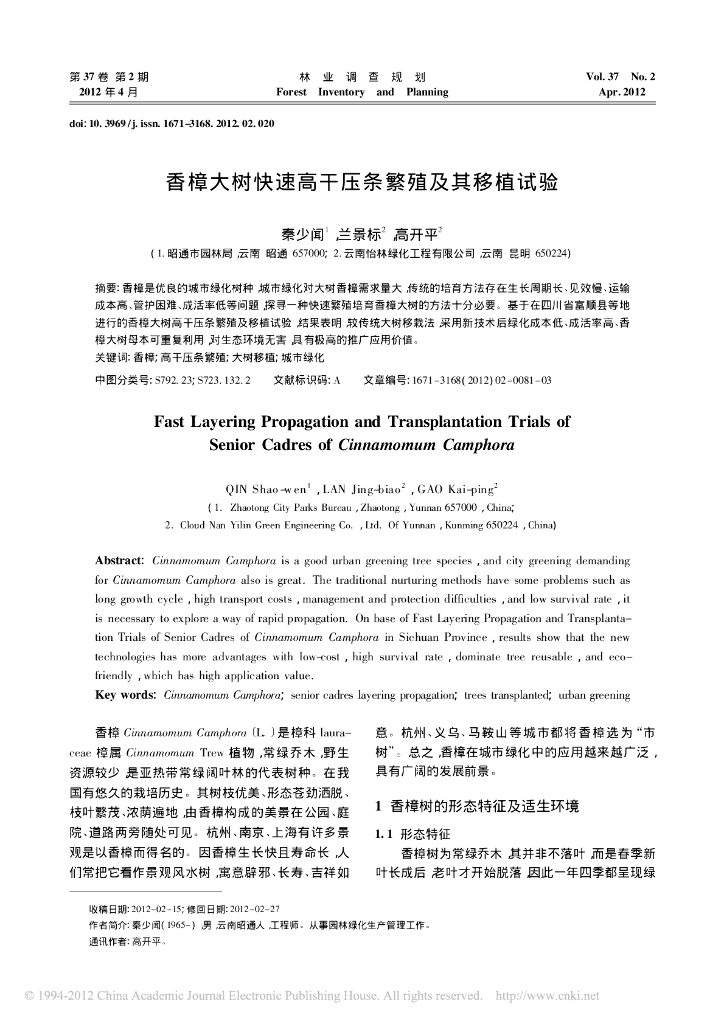 香樟大树快速高干压条繁殖及其移植试验