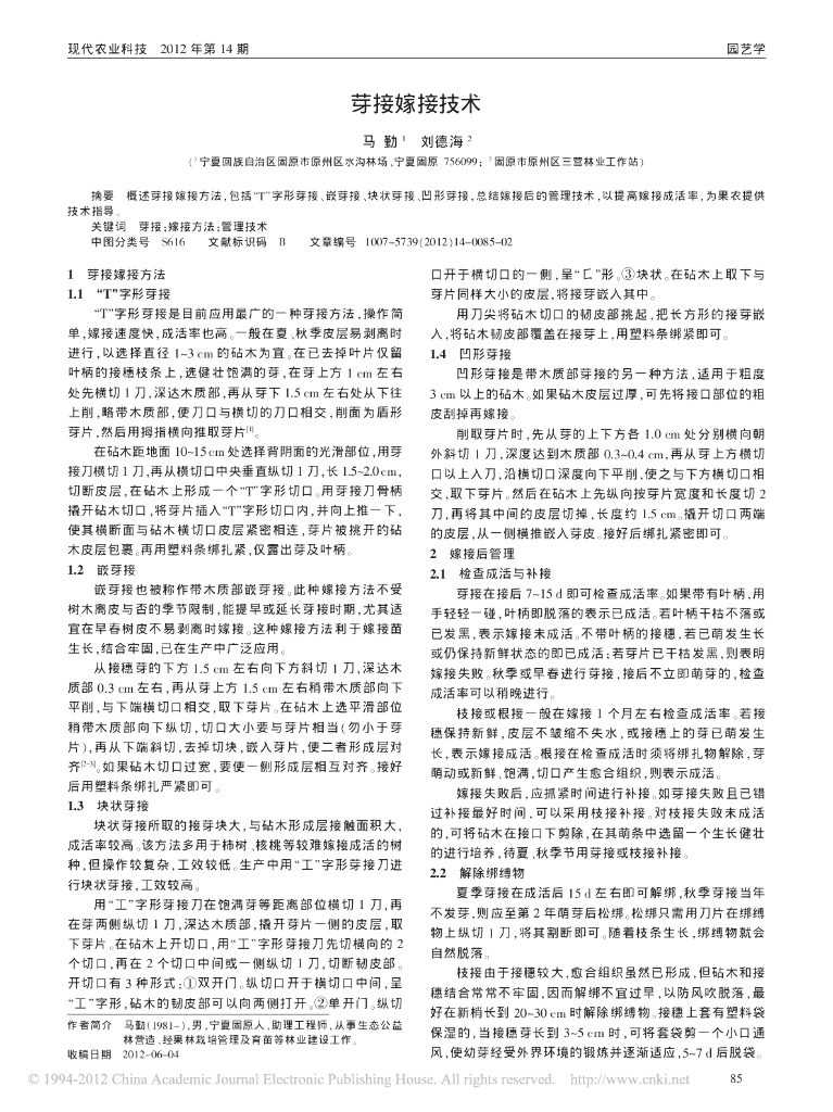 芽接嫁接技术