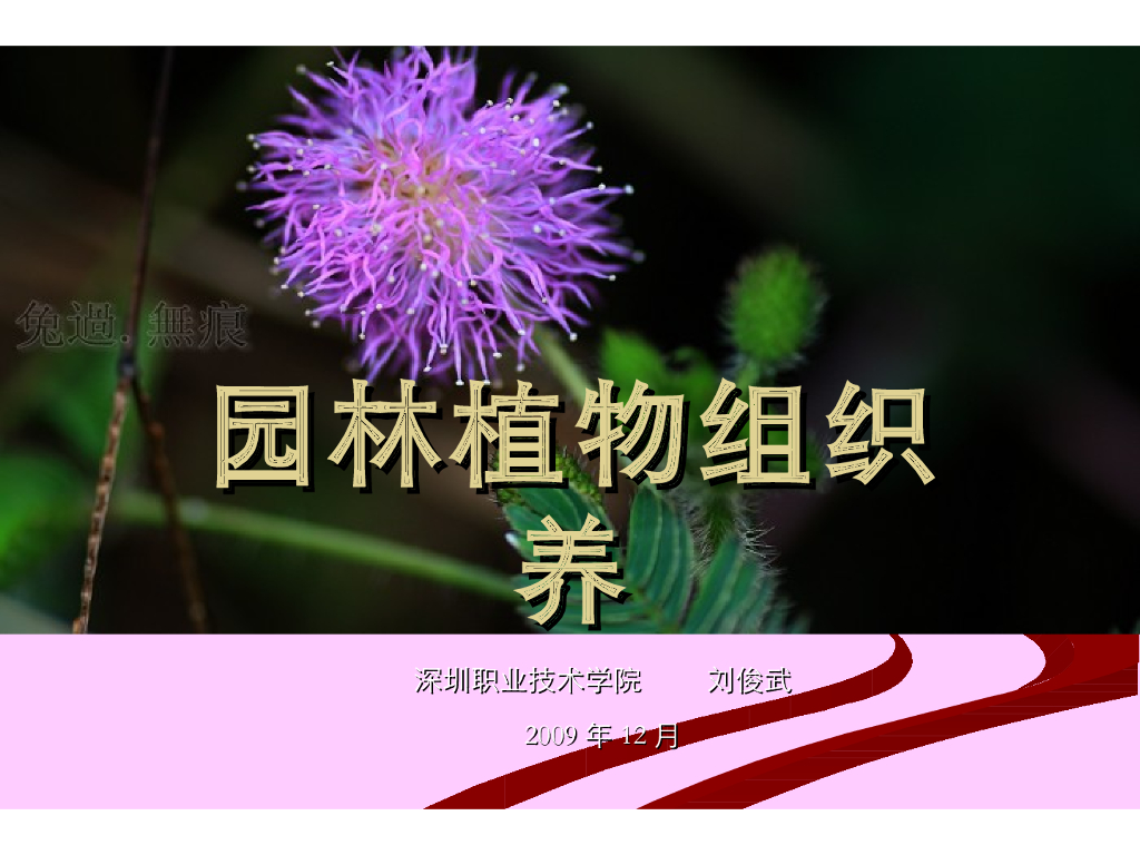 园林植物组织培养