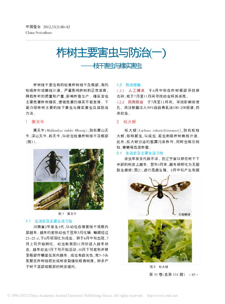 柞树主要害虫与防治(一)——枝干害虫与橡实害虫