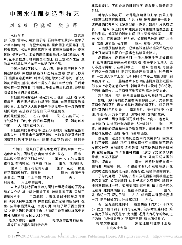 中国水仙雕刻造型技艺