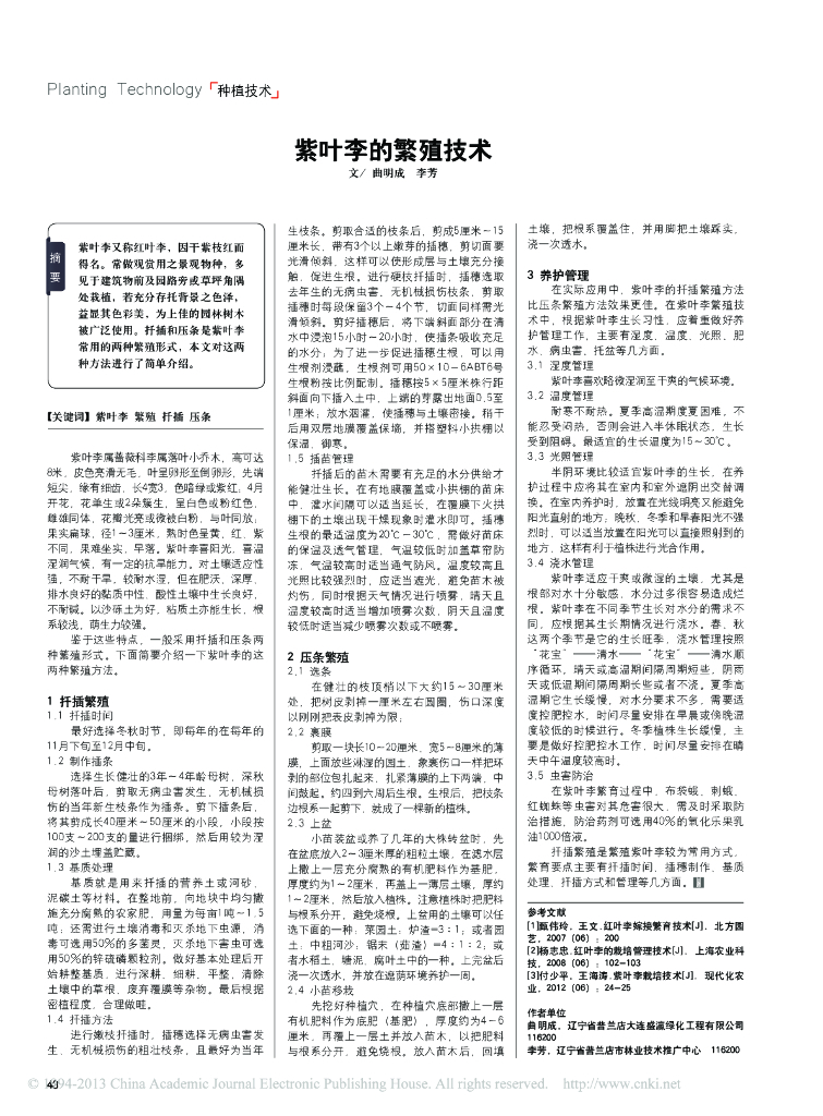紫叶李的繁殖技术