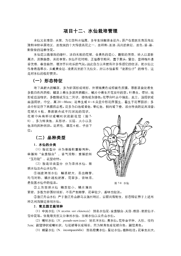 《园林植物栽培技术》电子教材-水仙的雕刻和养护