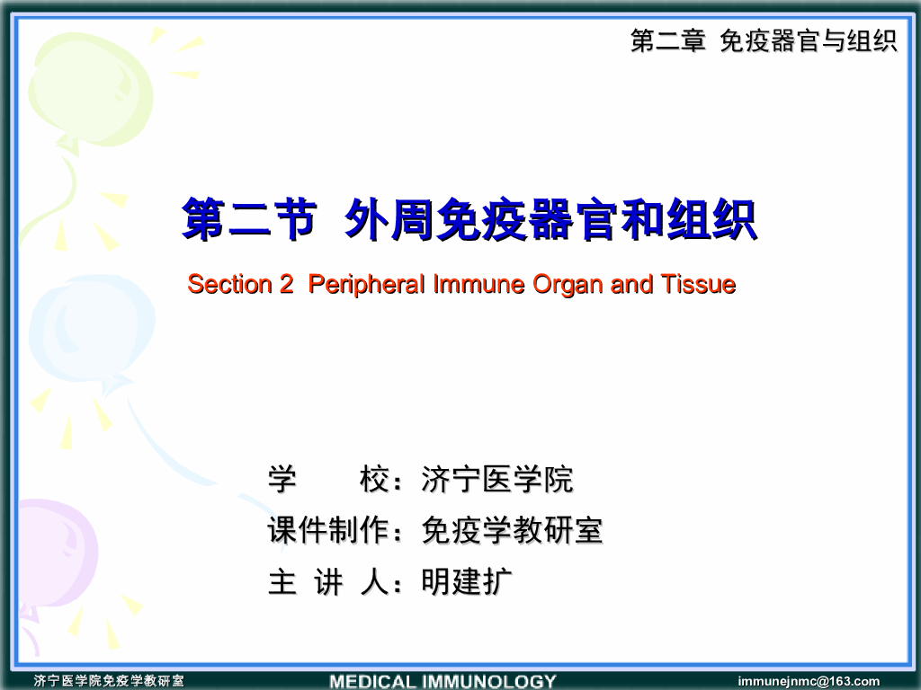 《医学免疫学》演示文稿-（PPT）第二节 外周免疫器官和淋巴细胞再循环