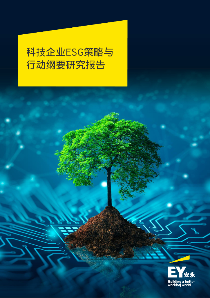 安永：科技企业ESG策略与行动纲要研究报告