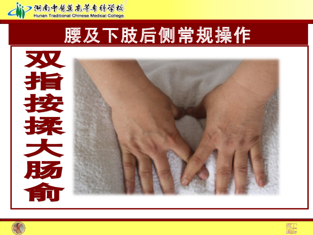 《推拿手法技术》演示文稿-腰背及下肢后侧常规操作法1_第7页