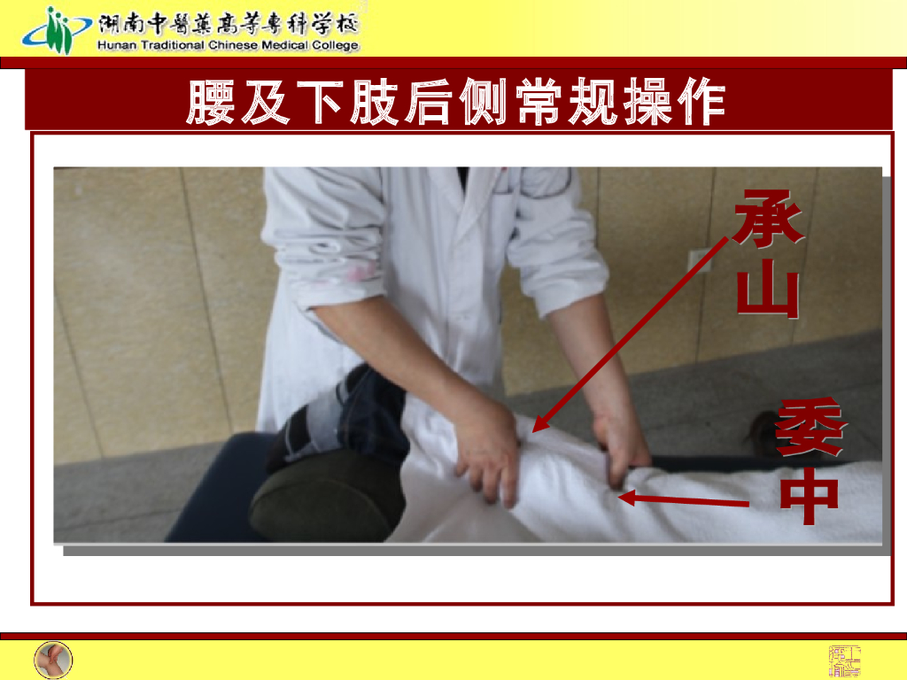 《推拿手法技术》演示文稿-腰背及下肢后侧常规操作法1_第10页