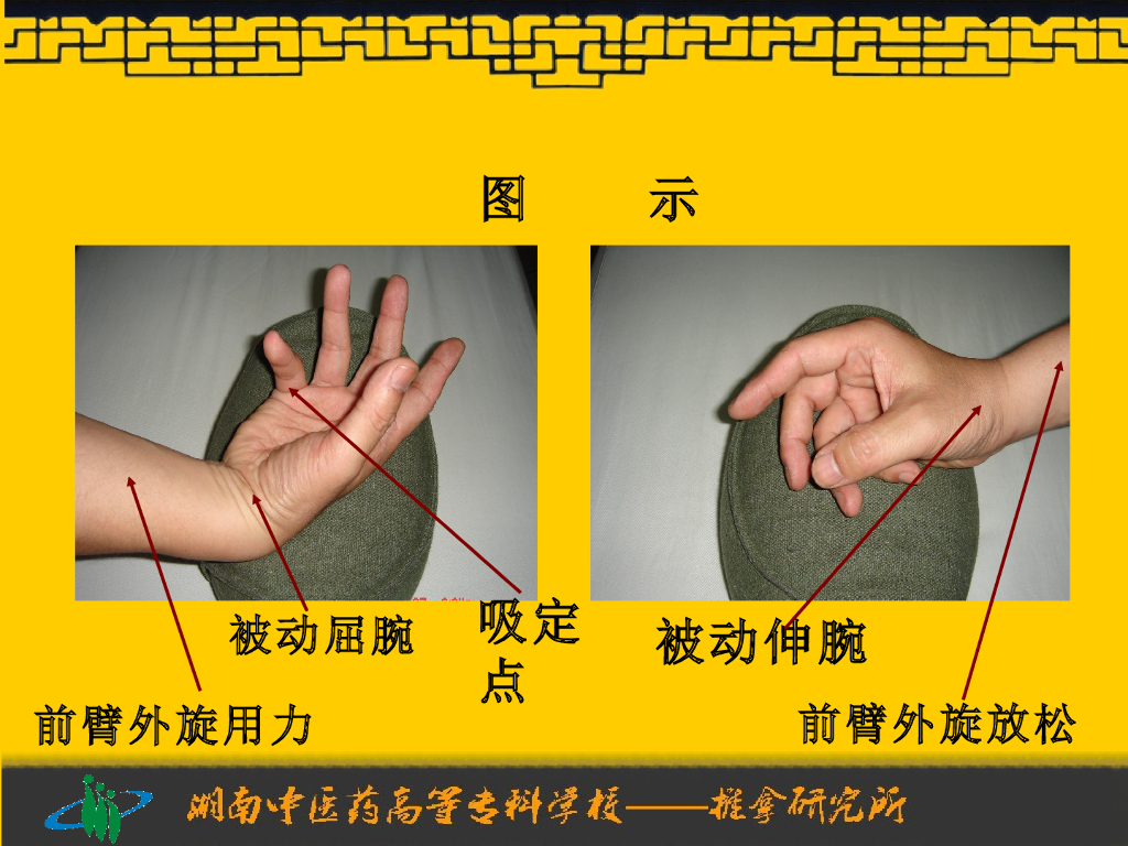 《推拿手法技术》演示文稿-扌衮法_第10页