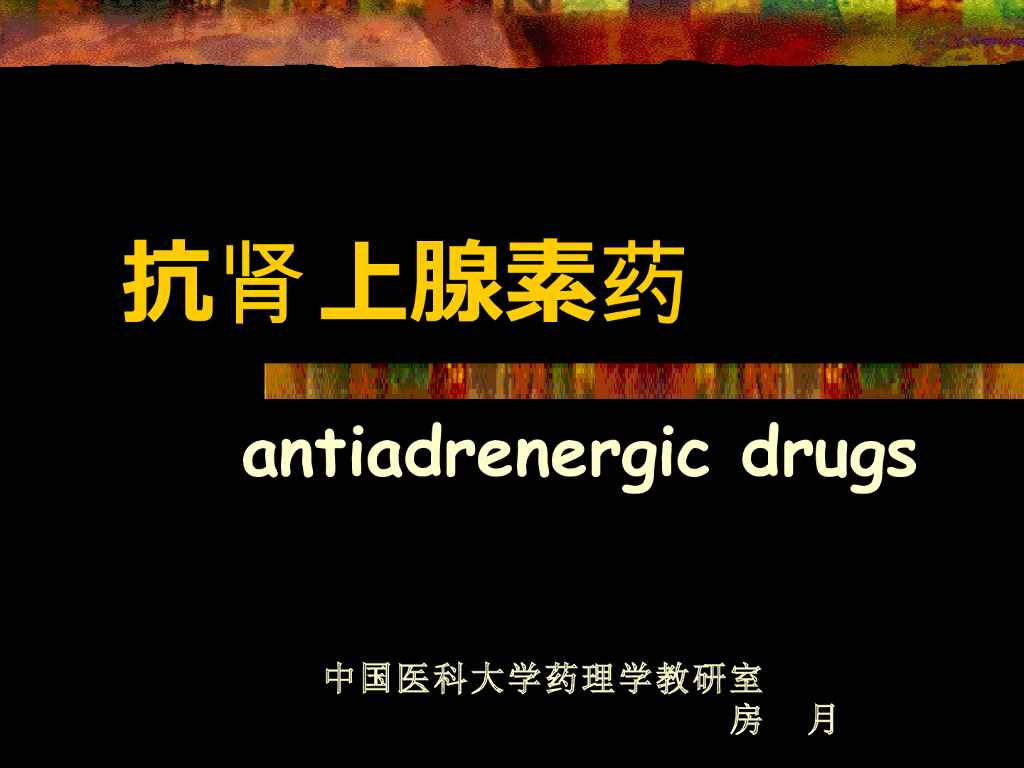 《药理学》演示文稿-肾上腺素受体阻断药