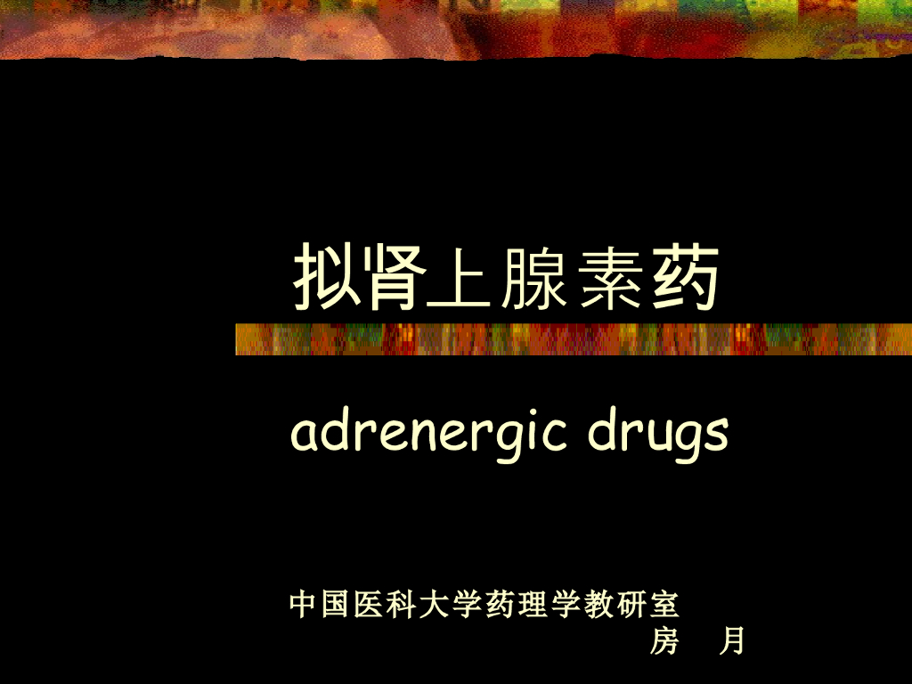 《药理学》演示文稿-拟肾上腺素药