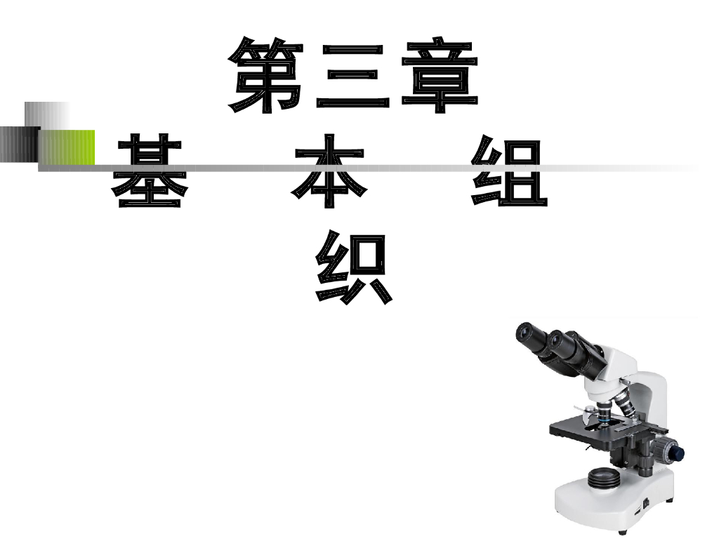 《正常人体结构》基本组织