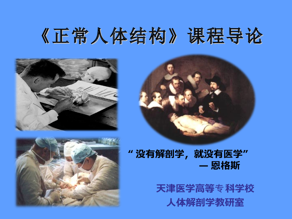 《正常人体结构》演示文稿-课程导论