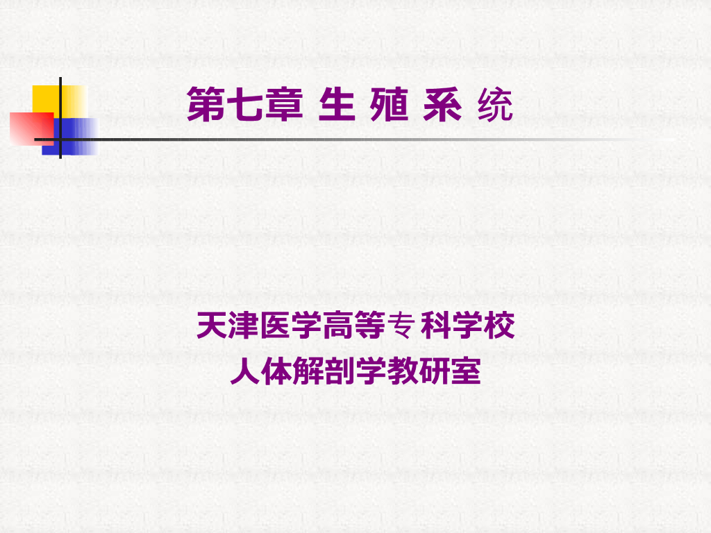 《正常人体结构》演示文稿-生殖系统