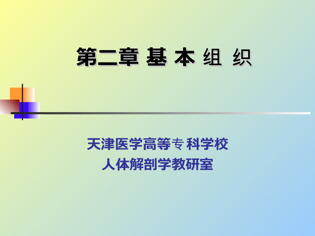 《正常人体结构》演示文稿-基本组织
