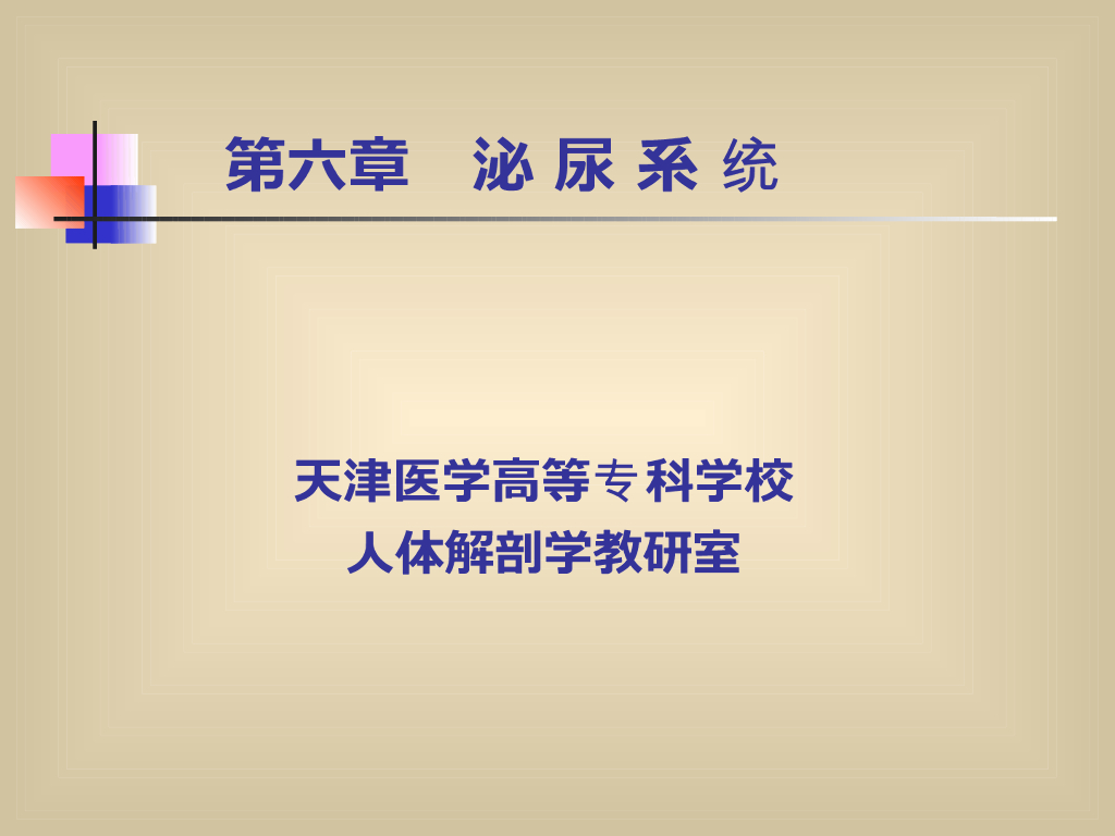 《正常人体结构》演示文稿-泌尿系统