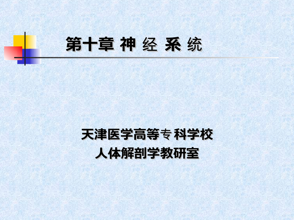 《正常人体结构》演示文稿-神经系统