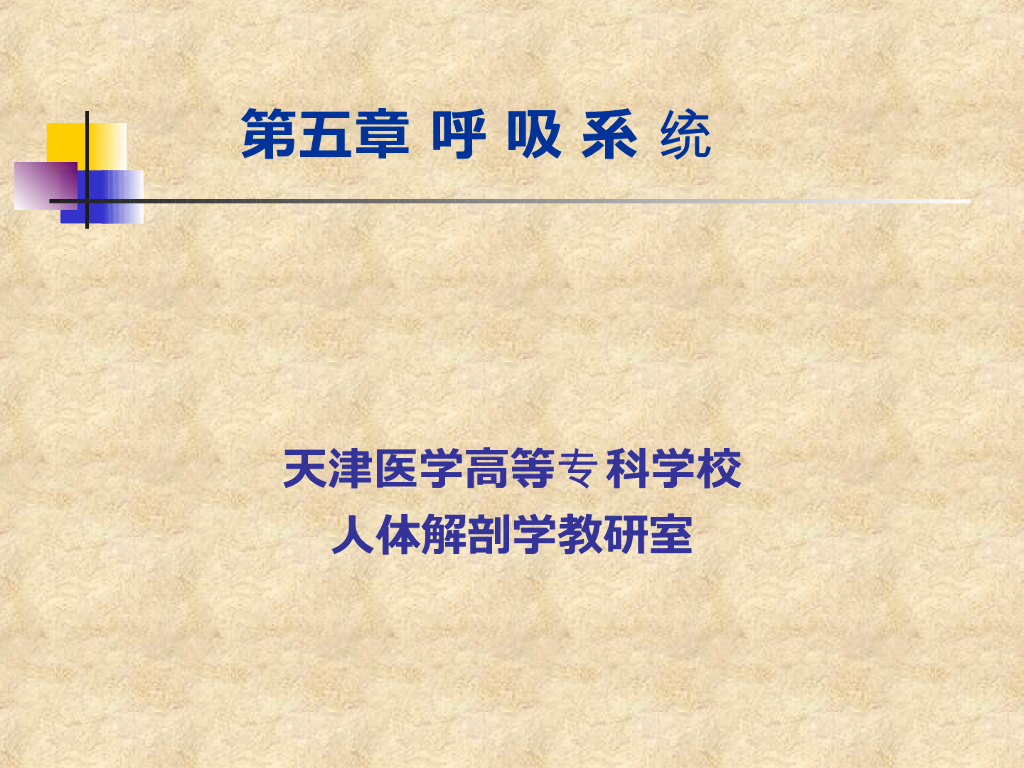 《正常人体结构》演示文稿-呼吸系统
