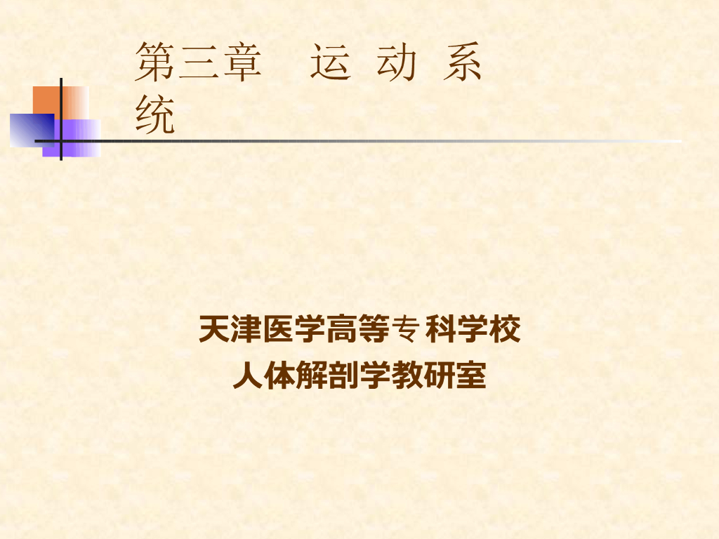《正常人体结构》演示文稿-运动系统
