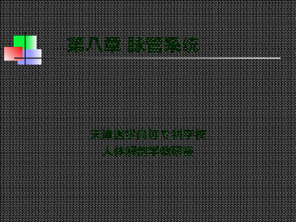 《正常人体结构》演示文稿-脉管系统