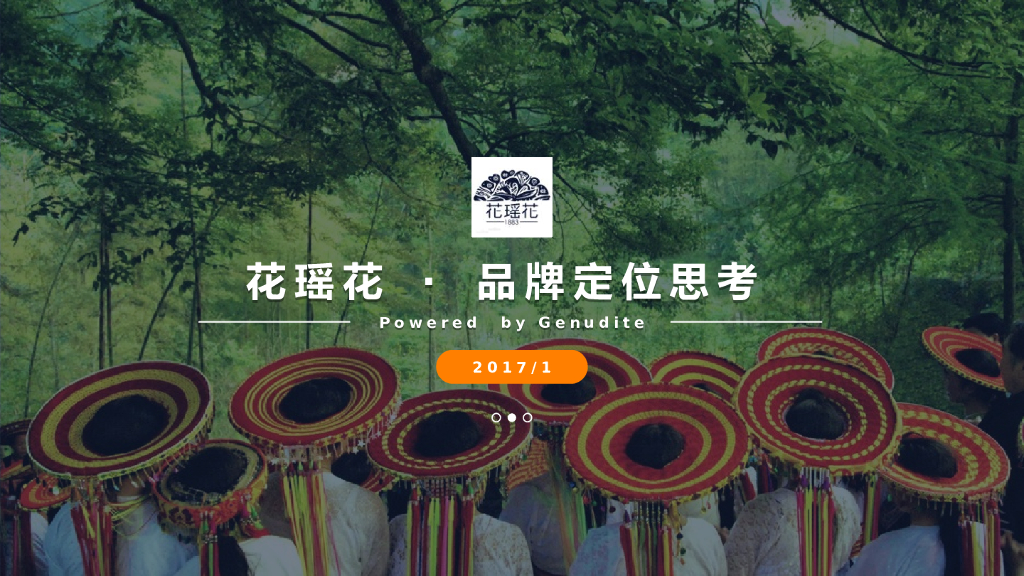 花瑶花2017年度品牌定位传播案