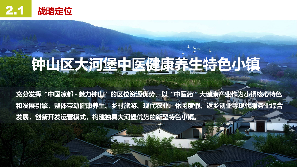 钟山区健康养生小镇项目_第8页