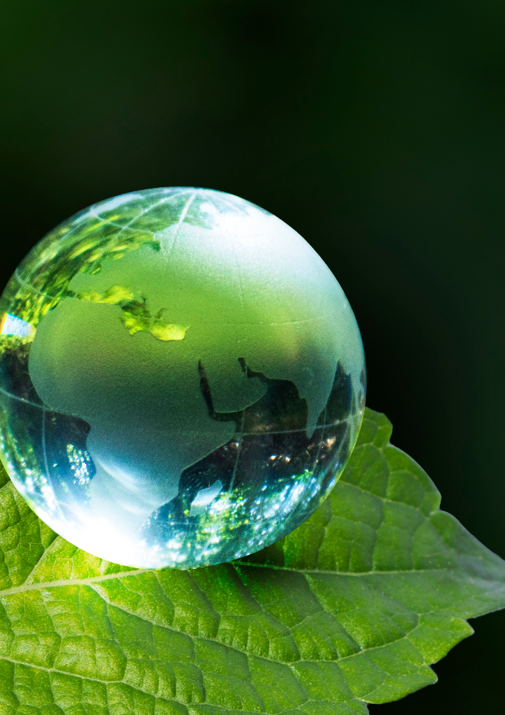 麦肯锡：乘势而上，聚势而强：碳中和时代，中国险企绿色转型全景图_第10页