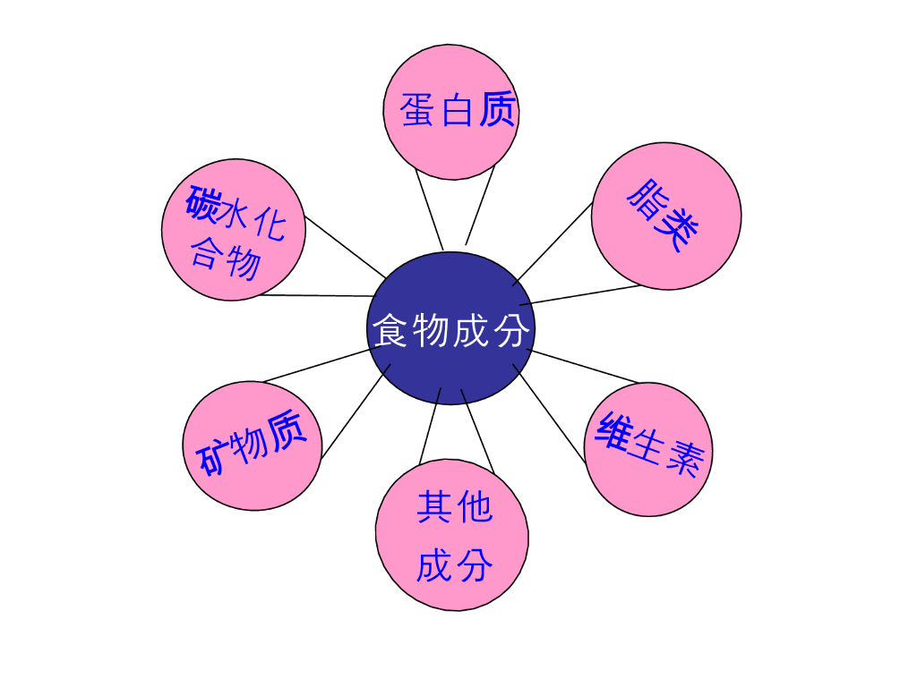 《营养与食品卫生》演示文稿-各类食物的营养价值