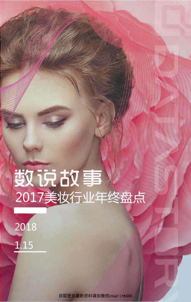 Datastory：2017美妆年终盘点报告