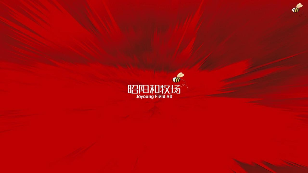 广州昭阳和牧场-西安莱安中心国际综合体暨公寓推广案