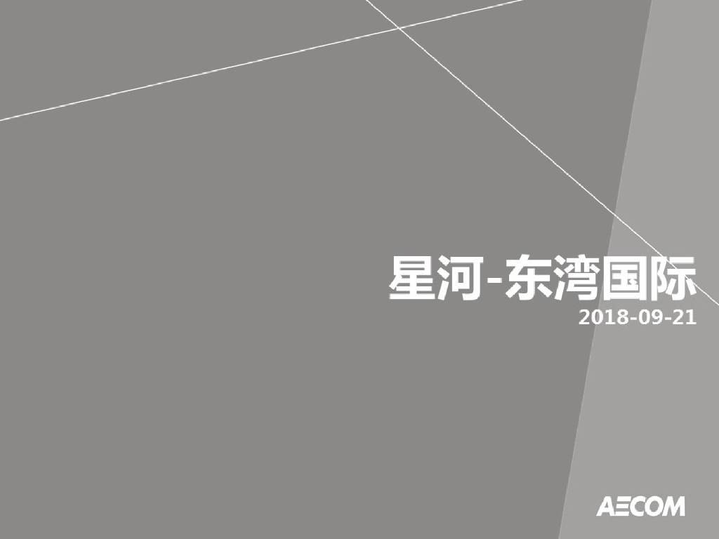 2018广州南沙星河东湾国际商业方案
