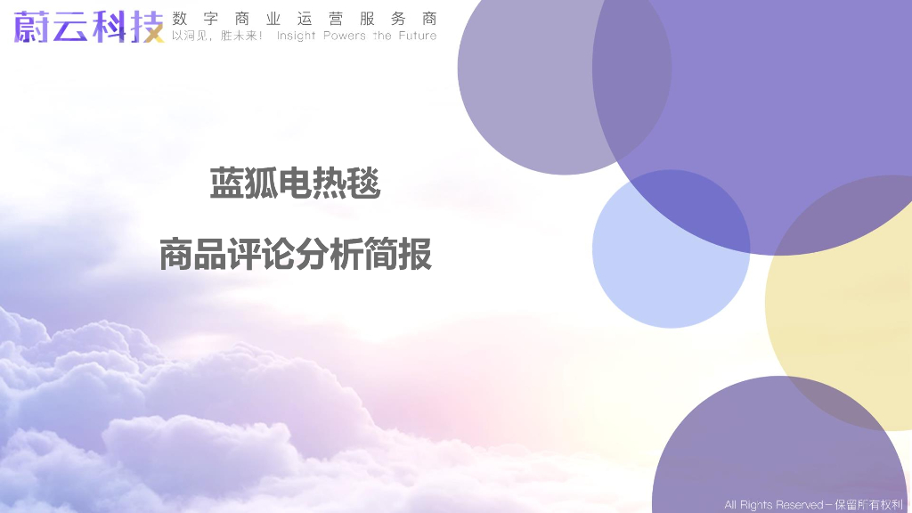 蔚云科技：蓝狐电热毯商品评论分析简报
