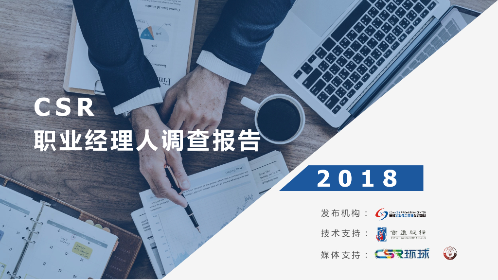 商道纵横：CSR职业经理人调查报告 (2018)