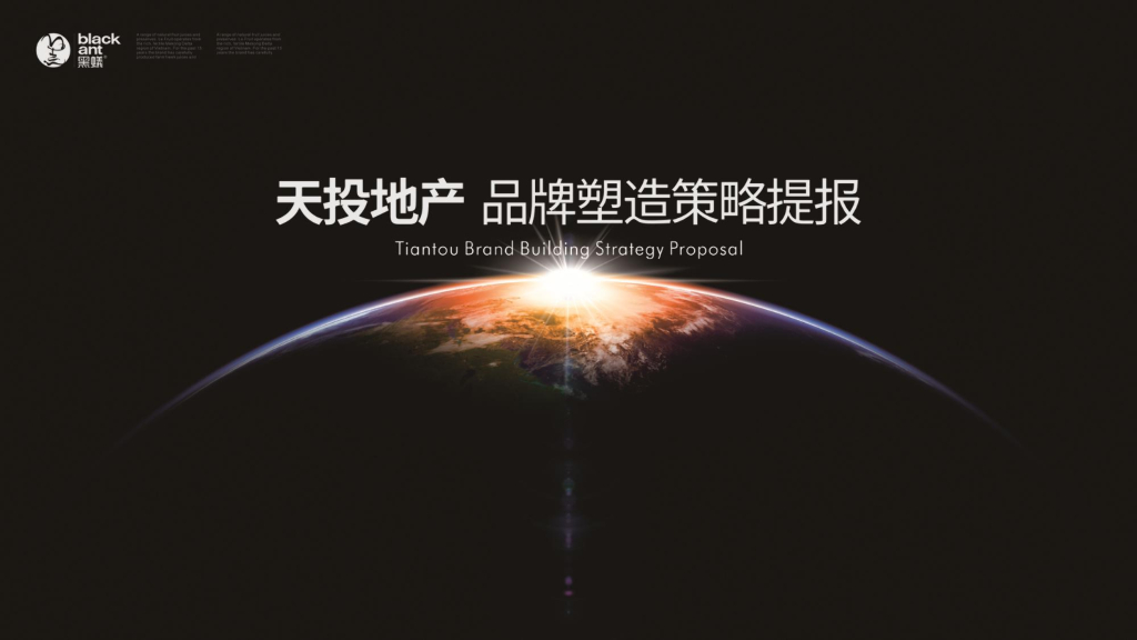 2019黑蚁设计-天投地产品牌塑造策略提报