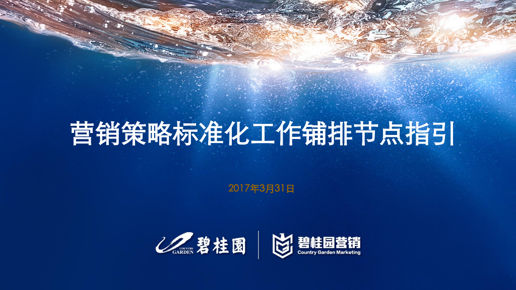 碧桂园标准化营销策略重点工作铺排节点指引